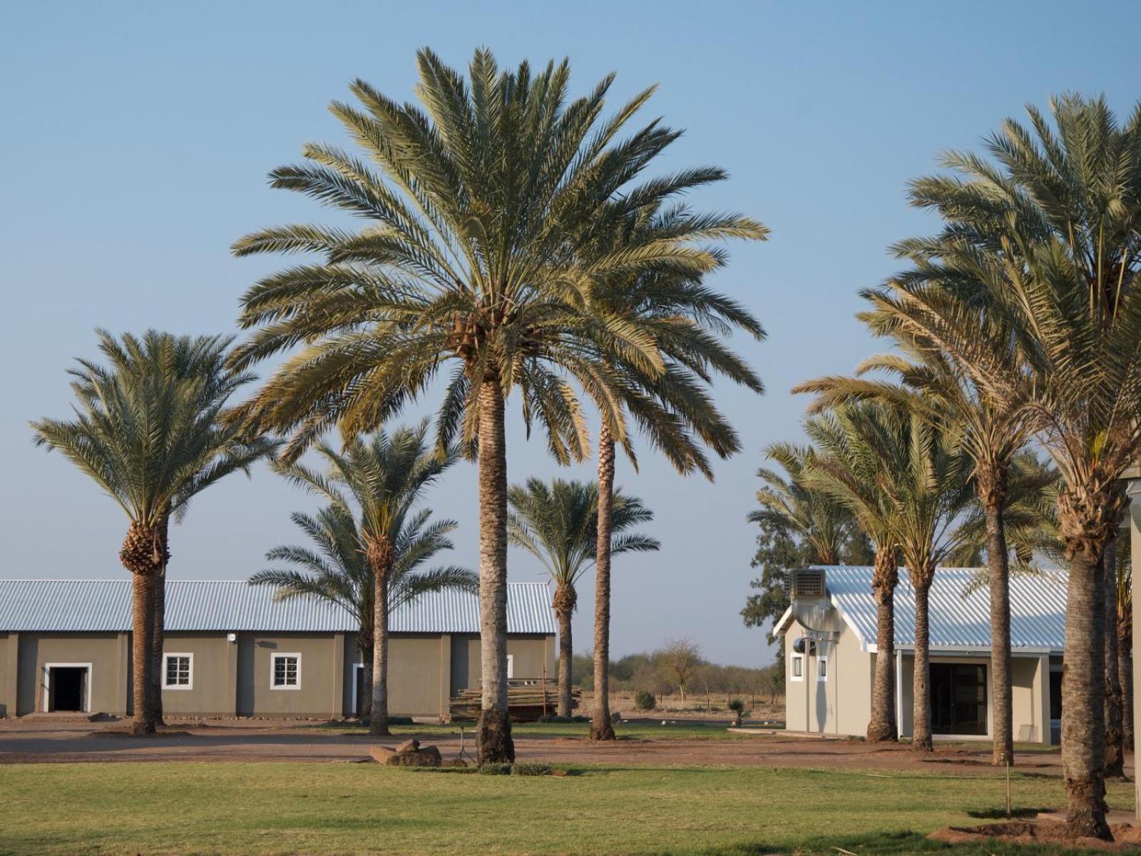 Flying Ostrich Guesthouse & Self-Catering Accommodation 马林塔尔 外观 照片